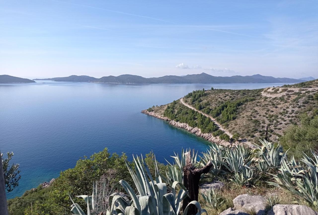 Apartment Lucija With Sea View Dubrovnik Luaran gambar