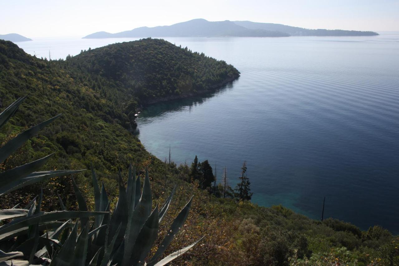 Apartment Lucija With Sea View Dubrovnik Luaran gambar